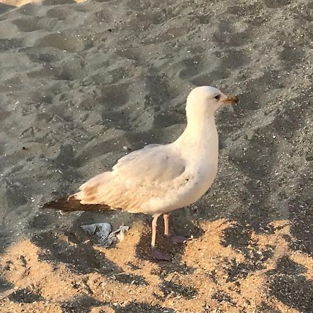 Le Beau Coin Βίλα De Panne Εξωτερικό φωτογραφία